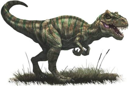 800px-Allosaurus